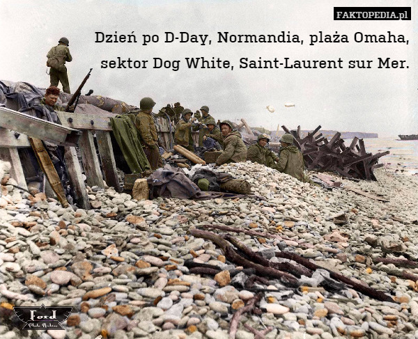 Dzień po D-Day, Normandia, plaża Omaha,
sektor Dog White, Saint-Laurent sur Mer. 