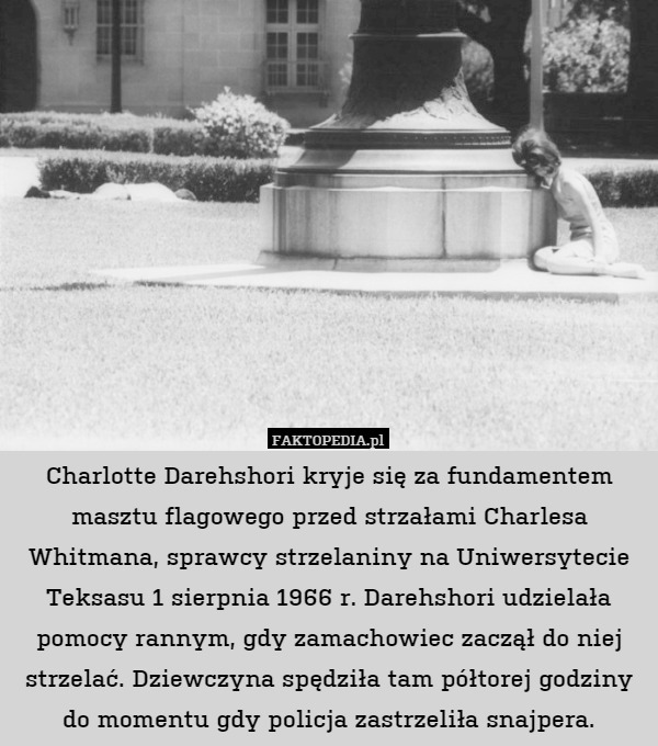Charlotte Darehshori kryje się za fundamentem masztu flagowego przed strzałami Charlesa Whitmana, sprawcy strzelaniny na Uniwersytecie Teksasu 1 sierpnia 1966 r. Darehshori udzielała pomocy rannym, gdy zamachowiec zaczął do niej strzelać. Dziewczyna spędziła tam półtorej godziny do momentu gdy policja zastrzeliła snajpera. 