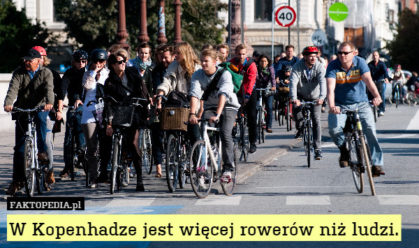 W Kopenhadze jest więcej rowerów niż ludzi. 