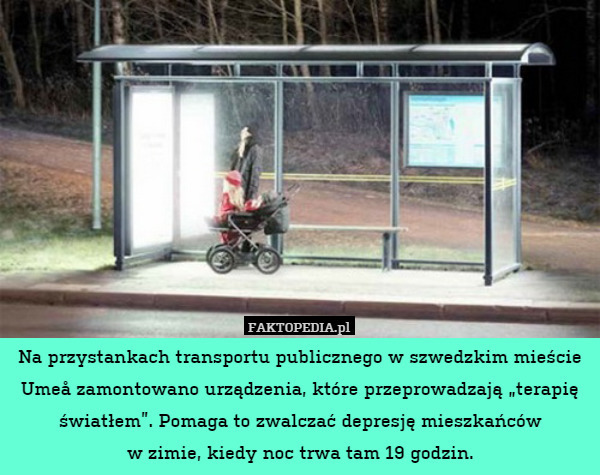 Na przystankach transportu publicznego w szwedzkim mieście Umeå zamontowano urządzenia, które przeprowadzają „terapię światłem”. Pomaga to zwalczać depresję mieszkańców
w zimie, kiedy noc trwa tam 19 godzin. 