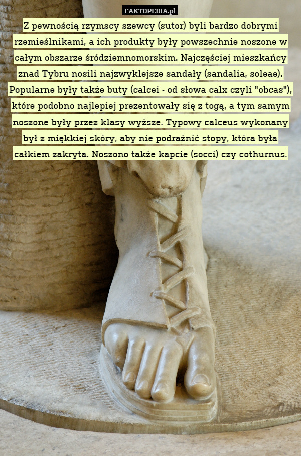 Z pewnością rzymscy szewcy (sutor) byli bardzo dobrymi rzemieślnikami, a ich produkty były powszechnie noszone w całym obszarze śródziemnomorskim. Najczęściej mieszkańcy znad Tybru nosili najzwyklejsze sandały (sandalia, soleae). Popularne były także buty (calcei - od słowa calx czyli "obcas"), które podobno najlepiej prezentowały się z togą, a tym samym noszone były przez klasy wyższe. Typowy calceus wykonany był z miękkiej skóry, aby nie podrażnić stopy, która była całkiem zakryta. Noszono także kapcie (socci) czy cothurnus. 