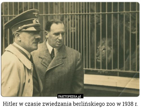 Hitler w czasie zwiedzania berlińskiego zoo w 1938 r. 