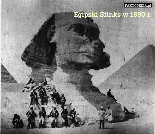 Egipski Sfinks w 1880 r. 