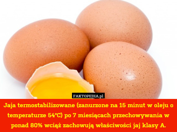 Jaja termostabilizowane (zanurzone na 15 minut w oleju o temperaturze 54°C) po 7 miesiącach przechowywania w ponad 80% wciąż zachowują właściwości jaj klasy A. 