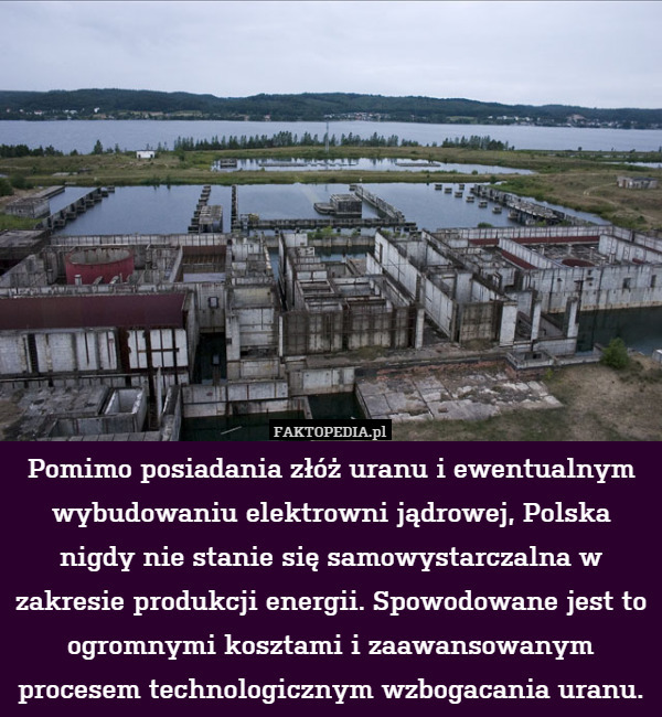 Pomimo posiadania złóż uranu i ewentualnym wybudowaniu elektrowni jądrowej, Polska nigdy nie stanie się samowystarczalna w zakresie produkcji energii. Spowodowane jest to ogromnymi kosztami i zaawansowanym procesem technologicznym wzbogacania uranu. 