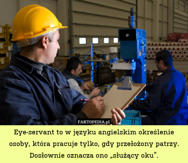 Eye-servant to w języku angielskim określenie osoby, która pracuje tylko, gdy przełożony patrzy. Dosłownie oznacza ono „służący oku”. 