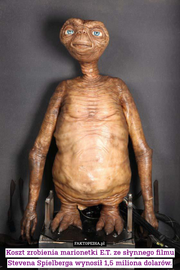 Koszt zrobienia marionetki E.T. ze słynnego filmu Stevena Spielberga wynosił 1,5 miliona dolarów. 
