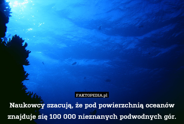 Naukowcy szacują, że pod powierzchnią oceanów znajduje się 100 000 nieznanych podwodnych gór. 