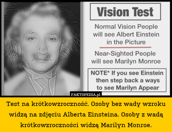 Test na krótkowzroczność. Osoby bez wady wzroku widzą na zdjęciu Alberta Einsteina. Osoby z wadą krótkowzroczności widzą Marilyn Monroe. 