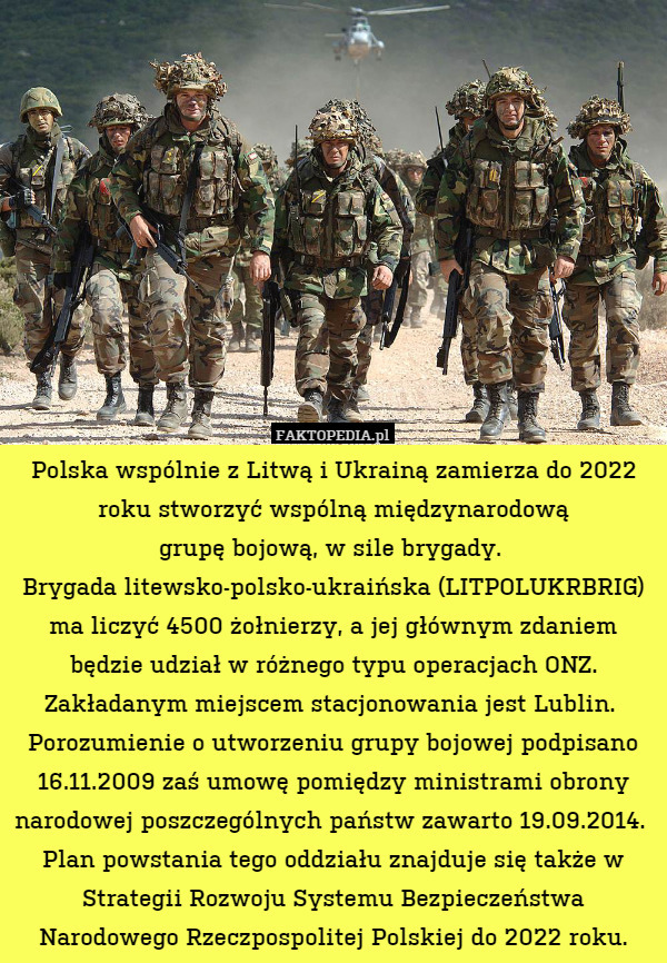 Polska wspólnie z Litwą i Ukrainą zamierza do 2022 roku stworzyć wspólną międzynarodową
grupę bojową, w sile brygady. 
Brygada litewsko-polsko-ukraińska (LITPOLUKRBRIG) ma liczyć 4500 żołnierzy, a jej głównym zdaniem będzie udział w różnego typu operacjach ONZ. Zakładanym miejscem stacjonowania jest Lublin. 
Porozumienie o utworzeniu grupy bojowej podpisano 16.11.2009 zaś umowę pomiędzy ministrami obrony narodowej poszczególnych państw zawarto 19.09.2014. 
Plan powstania tego oddziału znajduje się także w Strategii Rozwoju Systemu Bezpieczeństwa Narodowego Rzeczpospolitej Polskiej do 2022 roku. 