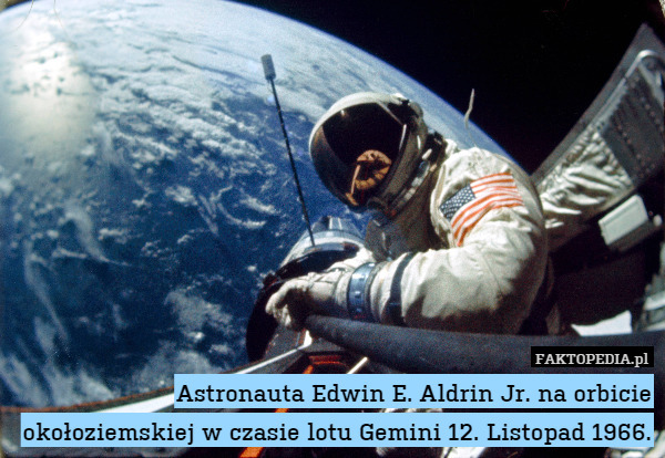 Astronauta Edwin E. Aldrin Jr. na orbicie okołoziemskiej w czasie lotu Gemini 12. Listopad 1966. 
