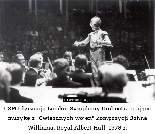 C3PO dyryguje London Symphony Orchestra grającą muzykę z "Gwiezdnych wojen" kompozycji Johna Williama. Royal Albert Hall, 1978 r. 