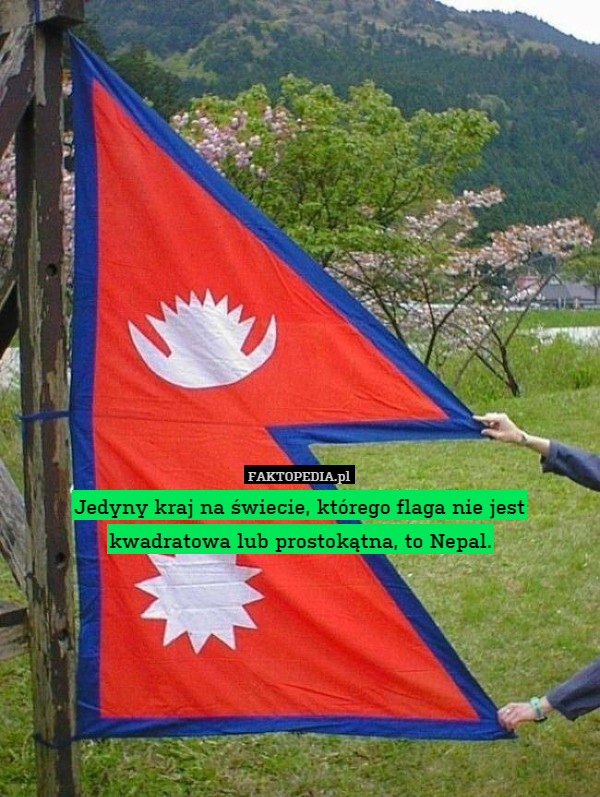 Jedyny kraj na świecie, którego flaga nie jest kwadratowa lub prostokątna, to Nepal. 