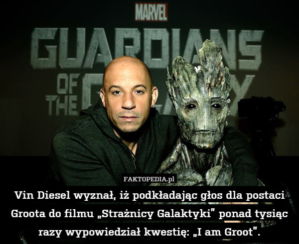 Vin Diesel wyznał, iż podkładając głos dla postaci Groota do filmu „Strażnicy Galaktyki” ponad tysiąc razy wypowiedział kwestię: „I am Groot”. 