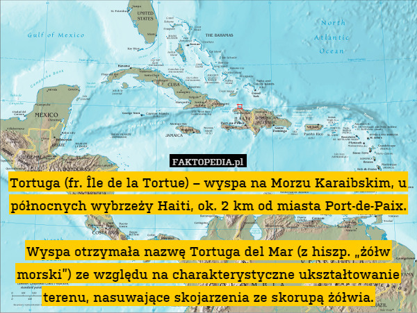 Tortuga (fr. Île de la Tortue) – wyspa na Morzu Karaibskim, u północnych wybrzeży Haiti, ok. 2 km od miasta Port-de-Paix.

Wyspa otrzymała nazwę Tortuga del Mar (z hiszp. „żółw morski”) ze względu na charakterystyczne ukształtowanie terenu, nasuwające skojarzenia ze skorupą żółwia. 
