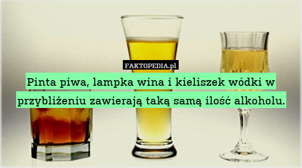 Pinta piwa, lampka wina i kieliszek wódki w przybliżeniu zawierają taką samą ilość alkoholu. 