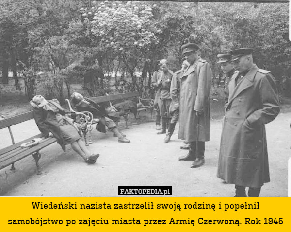 Wiedeński nazista zastrzelił swoją rodzinę i popełnił samobójstwo po zajęciu miasta przez Armię Czerwoną. Rok 1945 