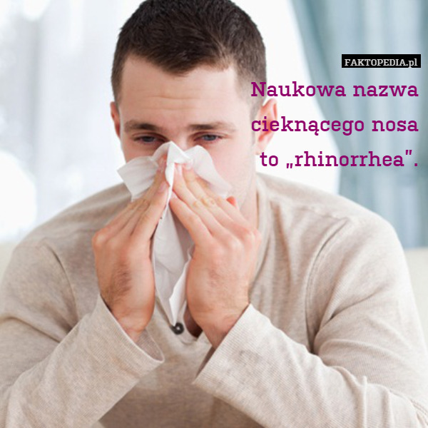 Naukowa nazwa
cieknącego nosa
to „rhinorrhea”. 