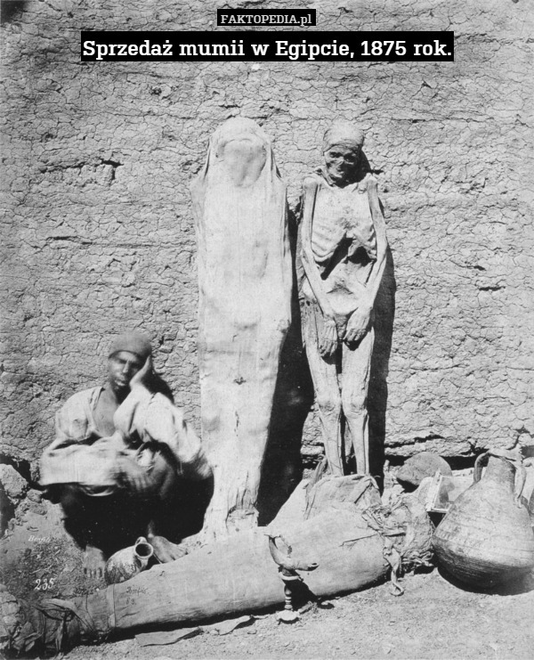 Sprzedaż mumii w Egipcie, 1875 rok. 