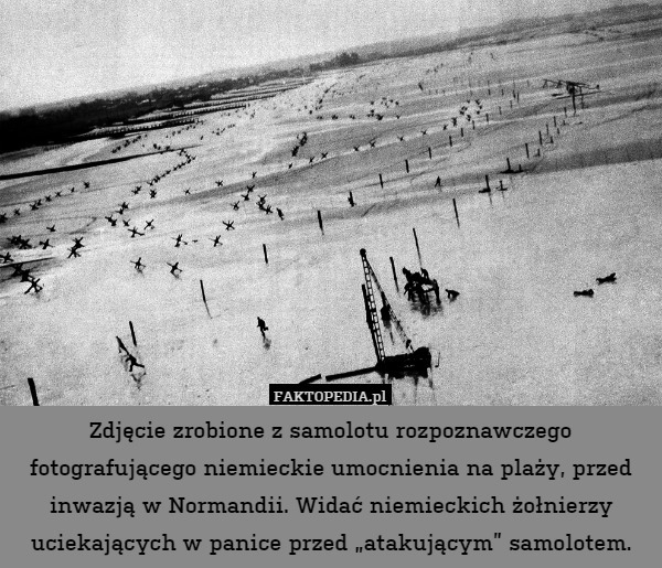 Zdjęcie zrobione z samolotu rozpoznawczego fotografującego niemieckie umocnienia na plaży, przed inwazją w Normandii. Widać niemieckich żołnierzy uciekających w panice przed „atakującym” samolotem. 