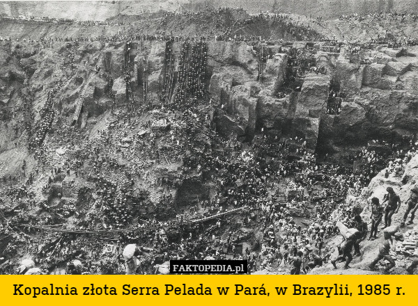 Kopalnia złota Serra Pelada w Pará, w Brazylii, 1985 r. 