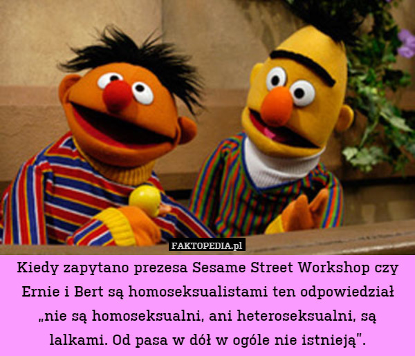 Kiedy zapytano prezesa Sesame Street Workshop czy Ernie i Bert są homoseksualistami ten odpowiedział „nie są homoseksualni, ani heteroseksualni, są lalkami. Od pasa w dół w ogóle nie istnieją”. 