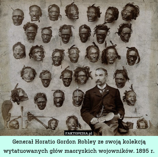 Generał Horatio Gordon Robley ze swoją kolekcją wytatuowanych głów maoryskich wojowników. 1895 r. 