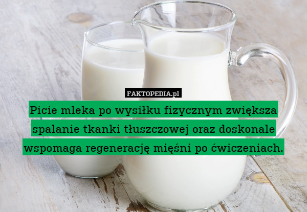 Picie mleka po wysiłku fizycznym zwiększa spalanie tkanki tłuszczowej oraz doskonale wspomaga regenerację mięśni po ćwiczeniach. 