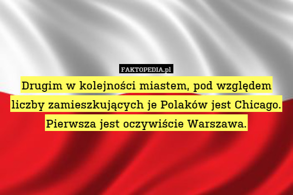 Drugim w kolejności miastem, pod względem liczby zamieszkujących je Polaków jest Chicago. Pierwsza jest oczywiście Warszawa. 