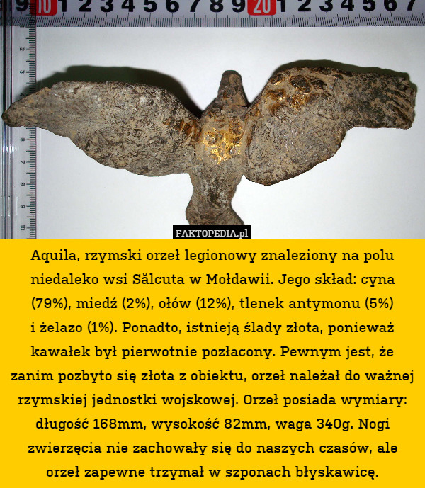 Aquila, rzymski orzeł legionowy znaleziony na polu niedaleko wsi Sălcuta w Mołdawii. Jego skład: cyna (79%), miedź (2%), ołów (12%), tlenek antymonu (5%)
i żelazo (1%). Ponadto, istnieją ślady złota, ponieważ kawałek był pierwotnie pozłacony. Pewnym jest, że zanim pozbyto się złota z obiektu, orzeł należał do ważnej rzymskiej jednostki wojskowej. Orzeł posiada wymiary: długość 168mm, wysokość 82mm, waga 340g. Nogi zwierzęcia nie zachowały się do naszych czasów, ale orzeł zapewne trzymał w szponach błyskawicę. 