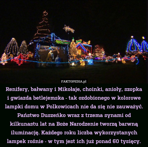 Renifery, bałwany i Mikołaje, choinki, anioły, szopka
i gwiazda betlejemska - tak ozdobionego w kolorowe lampki domu w Polkowicach nie da się nie zauważyć. Państwo Duszeńko wraz z trzema synami od kilkunastu lat na Boże Narodzenie tworzą barwną iluminację. Każdego roku liczba wykorzystanych lampek rośnie - w tym jest ich już ponad 60 tysięcy. 