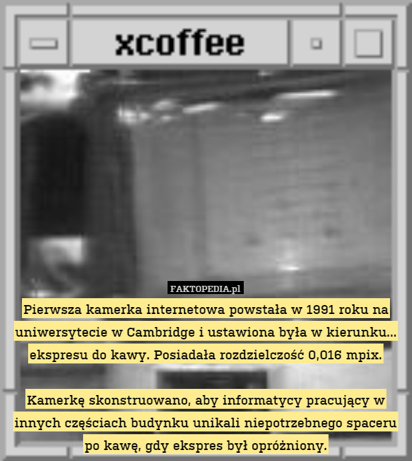 Pierwsza kamerka internetowa powstała w 1991 roku na uniwersytecie w Cambridge i ustawiona była w kierunku... ekspresu do kawy. Posiadała rozdzielczość 0,016 mpix.

Kamerkę skonstruowano, aby informatycy pracujący w innych częściach budynku unikali niepotrzebnego spaceru po kawę, gdy ekspres był opróżniony. 