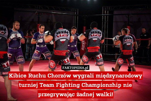 Kibice Ruchu Chorzów wygrali międzynarodowy turniej Team Fighting Championship nie przegrywając żadnej walki! 