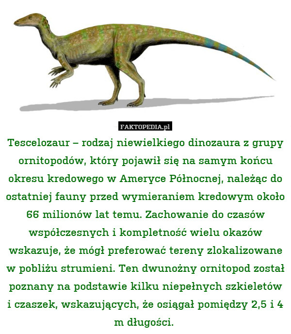 Tescelozaur – rodzaj niewielkiego dinozaura z grupy ornitopodów, który pojawił się na samym końcu okresu kredowego w Ameryce Północnej, należąc do ostatniej fauny przed wymieraniem kredowym około 66 milionów lat temu. Zachowanie do czasów współczesnych i kompletność wielu okazów wskazuje, że mógł preferować tereny zlokalizowane w pobliżu strumieni. Ten dwunożny ornitopod został poznany na podstawie kilku niepełnych szkieletów i czaszek, wskazujących, że osiągał pomiędzy 2,5 i 4 m długości. 