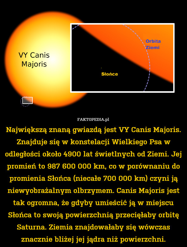 Największą znaną gwiazdą jest VY Canis Majoris. Znajduje się w konstelacji Wielkiego Psa w odległości około 4900 lat świetlnych od Ziemi. Jej promień to 987 600 000 km, co w porównaniu do promienia Słońca (niecałe 700 000 km) czyni ją niewyobrażalnym olbrzymem. Canis Majoris jest tak ogromna, że gdyby umieścić ją w miejscu Słońca to swoją powierzchnią przecięłaby orbitę Saturna. Ziemia znajdowałaby się wówczas znacznie bliżej jej jądra niż powierzchni. 