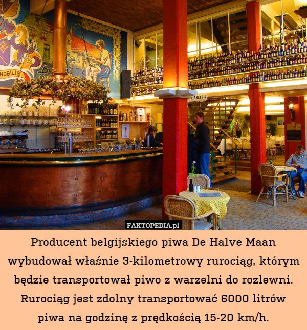 Producent belgijskiego piwa De Halve Maan wybudował właśnie 3-kilometrowy rurociąg, którym będzie transportował piwo z warzelni do rozlewni. Rurociąg jest zdolny transportować 6000 litrów piwa na godzinę z prędkością 15-20 km/h. 