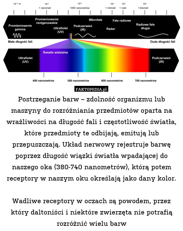 Postrzeganie barw – zdolność organizmu lub maszyny do rozróżniania przedmiotów oparta na wrażliwości na długość fali i częstotliwość światła, które przedmioty te odbijają, emitują lub przepuszczają. Układ nerwowy rejestruje barwę poprzez długość wiązki światła wpadającej do naszego oka (380-740 nanometrów), którą potem receptory w naszym oku określają jako dany kolor.

Wadliwe receptory w oczach są powodem, przez który daltoniści i niektóre zwierzęta nie potrafią rozróżnić wielu barw 