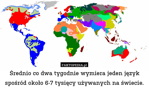 Średnio co dwa tygodnie wymiera jeden język spośród około 6-7 tysięcy używanych na świecie. 