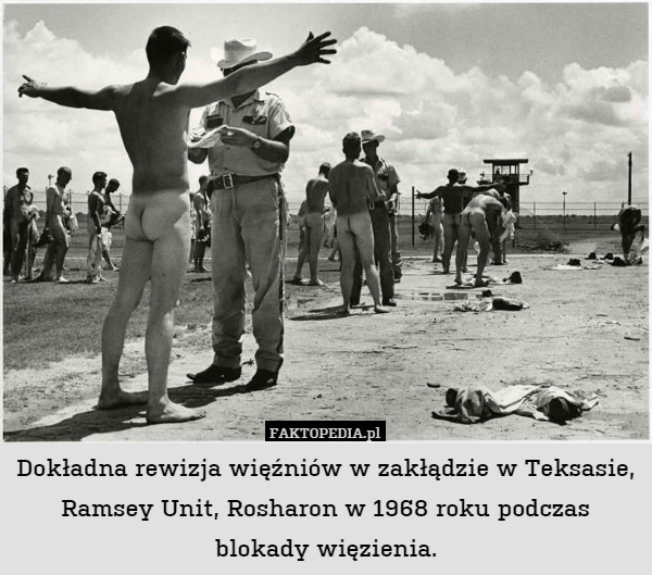 Dokładna rewizja więźniów w zakłądzie w Teksasie, Ramsey Unit, Rosharon w 1968 roku podczas blokady więzienia. 