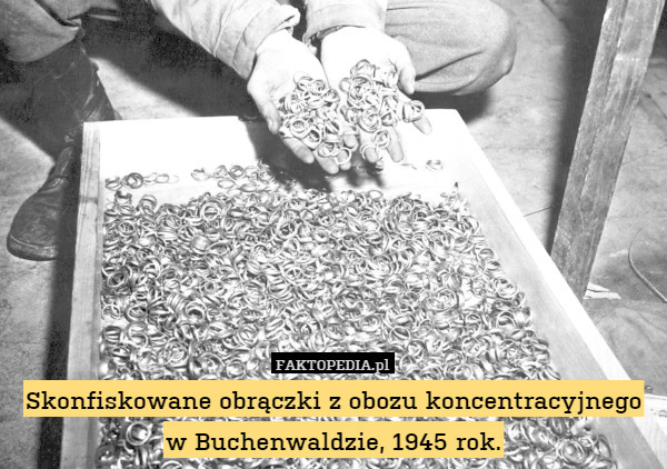 Skonfiskowane obrączki z obozu koncentracyjnego w Buchenwaldzie, 1945 rok. 