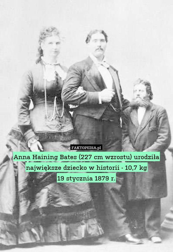 Anna Haining Bates (227 cm wzrostu) urodziła największe dziecko w historii - 10,7 kg
19 stycznia 1879 r. 