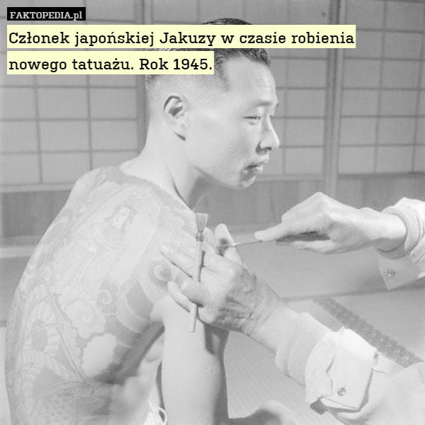 Członek japońskiej Jakuzy w czasie robienia nowego tatuażu. Rok 1945. 