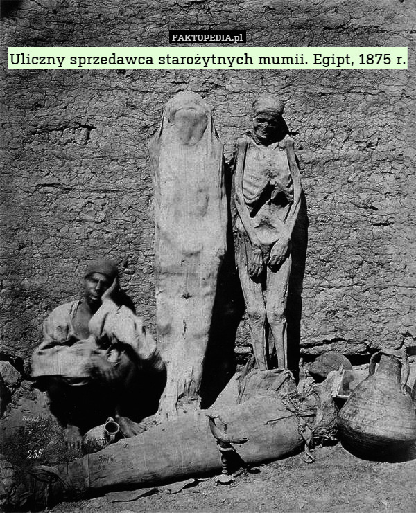 Uliczny sprzedawca starożytnych mumii. Egipt, 1875 r. 
