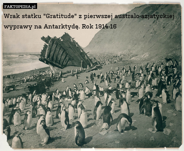 Wrak statku "Gratitude" z pierwszej australo-azjatyckiej wyprawy na Antarktydę. Rok 1914-16 