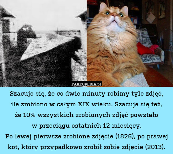 Szacuje się, że co dwie minuty robimy tyle zdjęć,
ile zrobiono w całym XIX wieku. Szacuje się też,
że 10% wszystkich zrobionych zdjęć powstało
w przeciągu ostatnich 12 miesięcy.
Po lewej pierwsze zrobione zdjęcie (1826), po prawej kot, który przypadkowo zrobił sobie zdjęcie (2013). 