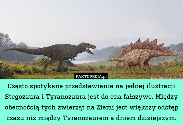 Często spotykane przedstawianie na jednej ilustracji Stegozaura i Tyranozaura jest do cna fałszywe. Między obecnością tych zwierząt na Ziemi jest większy odstęp czasu niż między Tyranozaurem a dniem dzisiejszym. 