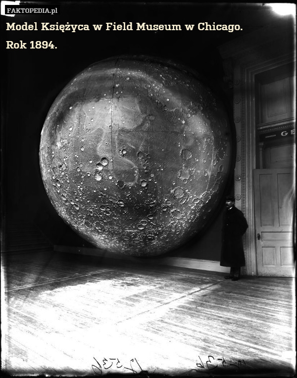 Model Księżyca w Field Museum w Chicago.
Rok 1894. 