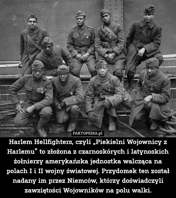 Harlem Hellfighters, czyli „Piekielni Wojownicy z Harlemu” to złożona z czarnoskórych i latynoskich żołnierzy amerykańska jednostka walcząca na polach I i II wojny światowej. Przydomek ten został nadany im przez Niemców, którzy doświadczyli zawziętości Wojowników na polu walki. 