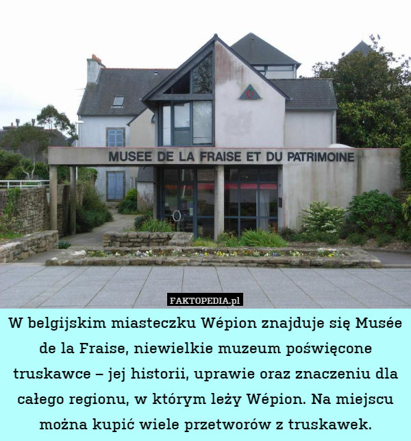 W belgijskim miasteczku Wépion znajduje się Musée de la Fraise, niewielkie muzeum poświęcone truskawce – jej historii, uprawie oraz znaczeniu dla całego regionu, w którym leży Wépion. Na miejscu można kupić wiele przetworów z truskawek. 