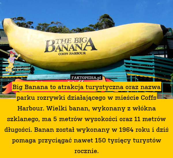 Big Banana to atrakcja turystyczna oraz nazwa parku rozrywki działającego w mieście Coffs Harbour. Wielki banan, wykonany z włókna szklanego, ma 5 metrów wysokości oraz 11 metrów długości. Banan został wykonany w 1964 roku i dziś pomaga przyciągać nawet 150 tysięcy turystów rocznie. 